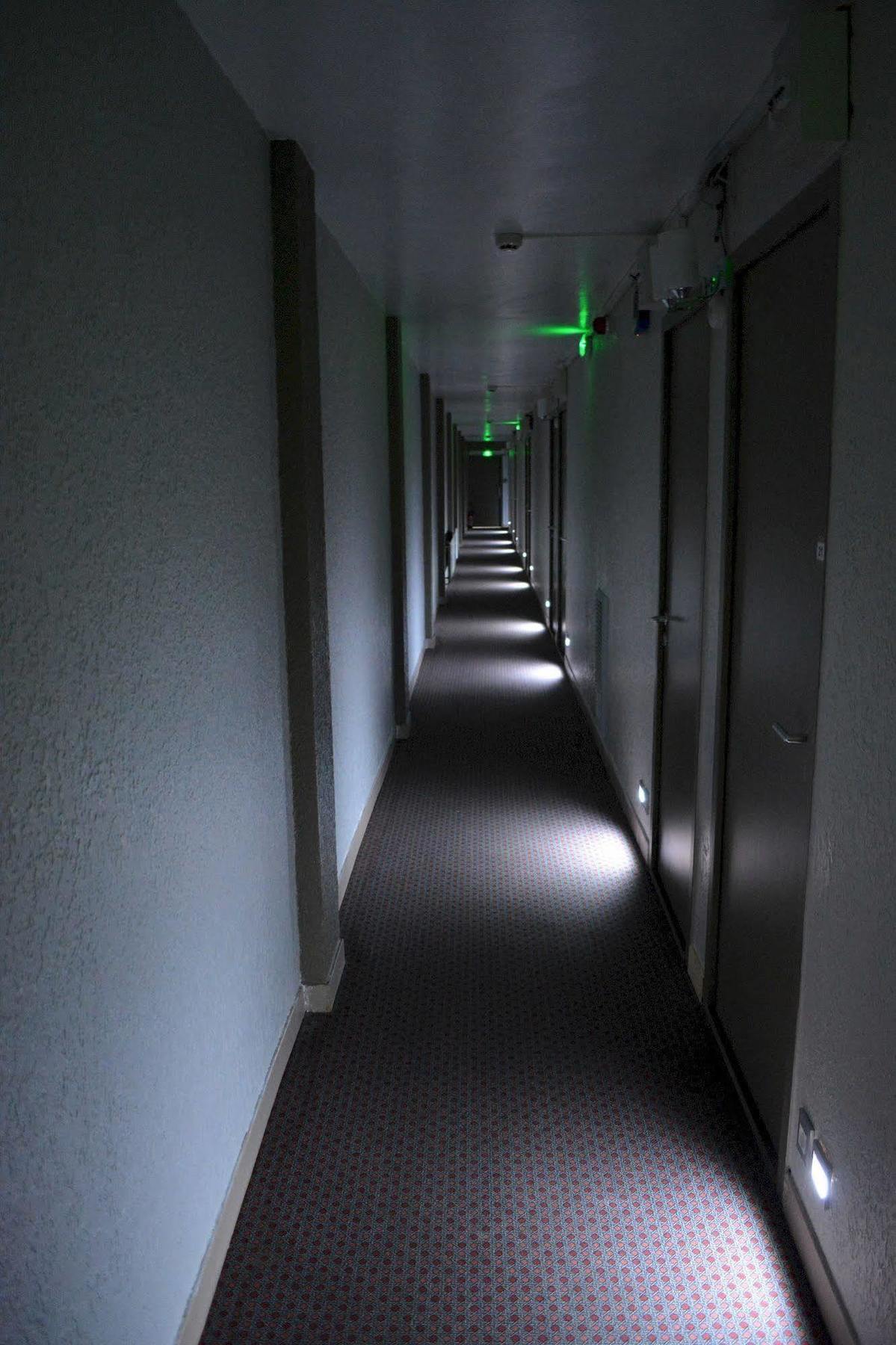 Hotel Le Lyon ブロン エクステリア 写真